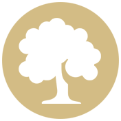 c3